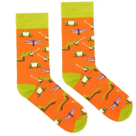 Skarpetki z bawełny organicznej - Żaba Śmieszka - KABAK 42-46