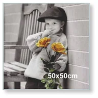 Ramki na zdjęcia - Rama aluminiowa do plakatu 50x50cm, srebrna anoda / ARTVIC - miniaturka - grafika 1