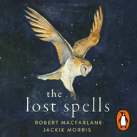 Audiobooki obcojęzyczne - Lost Spells - miniaturka - grafika 1