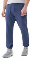 Dresy męskie - M��skie spodnie dresowe 4F TROM1139 32S XL - miniaturka - grafika 1