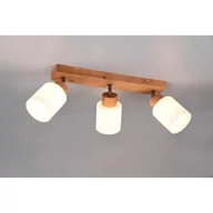 Lampy sufitowe - Trio Rl Sprout R31293302 lampa wisząca zwis 3x40W E14 czarna - miniaturka - grafika 1