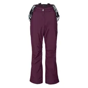 Spodnie narciarskie - Damskie Spodnie AST 2ALS M000264041 – Fioletowy - miniaturka - grafika 1