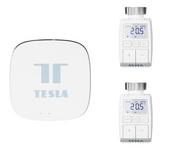 Systemy inteligentnych domów - Tesla Smart Zestaw podstawowy (2 głowice + centralka) - miniaturka - grafika 1