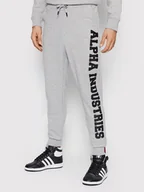 Spodnie sportowe męskie - Alpha Industries Spodnie dresowe Big Letters 126343 Szary Regular Fit - miniaturka - grafika 1