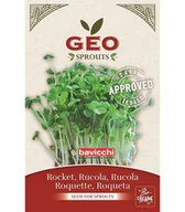 Zdrowa żywność - Rukola - nasiona na kiełki GEO, certyfikowane, 30g, Bavicchi (ZRU0203) - miniaturka - grafika 1