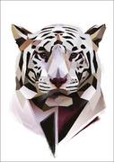 Plakaty - Biały Tygrys - plakat 40x60 cm - miniaturka - grafika 1