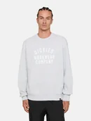 Bluzy męskie - felpa uomo dickies graphic hoodie 3 - dk0a85st lhg1 heather gray - Dickies - miniaturka - grafika 1