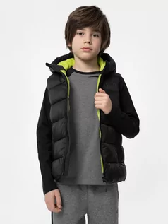 Kurtki i płaszcze dla chłopców - Bezrękawnik puchowy z wypełnieniem syntetycznym chłopięcy - 4F - grafika 1