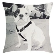 Poszewki na poduszki - Poszewka 45x45 Animal 9 Piesek - miniaturka - grafika 1