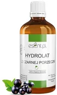 Toniki i hydrolaty do twarzy - Esent Hydrolat z czarnej porzeczki 100ml - miniaturka - grafika 1