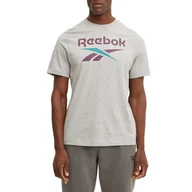 Koszulki męskie - Koszulka męska Reebok 100206031 IDENTITY BIG LOGO Szara - miniaturka - grafika 1