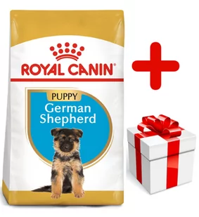 Royal Canin German Shepherd Junior 12 kg - Sucha karma dla psów - miniaturka - grafika 1