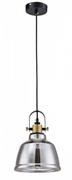 Lampy sufitowe - Maytoni LAMPA wisząca IRVING T163-11-C Maytoni szklana OPRAWA zwis loft przydymiony T163-11-C - miniaturka - grafika 1