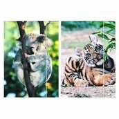 Teczki i skoroszyty - Starpak Teczka z gumką A4 Wild Animal2 559730 - miniaturka - grafika 1