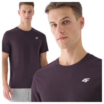 Koszulka 4F Męska Sportowa Podkoszulek T-shirt Bawełnany Dzień Limitowana
