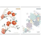 Zeszyty szkolne - Beniamin Zeszyt A5/60K linia Priplak (5szt) - miniaturka - grafika 1