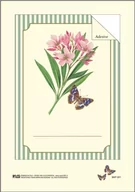 Zabawki kreatywne - Naklejki dekoracyjne BKP 001 Motyl 6szt ROSSI - miniaturka - grafika 1