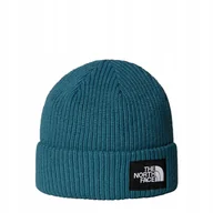Czapki damskie - THE NORTH FACE CZAPKA SALTY LINED NF0A8CGZBQ5 r UNIWERSALNY - miniaturka - grafika 1