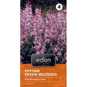 Nasiona i cebule - Dyptam Krzew Mojżesza różowy 0,2 g Eden - miniaturka - grafika 1