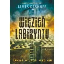 Więzień Labiryntu. Więzień Labiryntu. Tom 1 - Fantasy - miniaturka - grafika 1