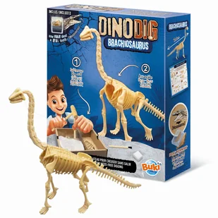 Mały paleontolog Buki - Brachiozaur z gipsu, szkielet do złożenia 8 lat+ - Zabawy w naśladowanie dorosłych - miniaturka - grafika 1