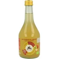 Ocet - ALCE NERO (włoskie produkty) ALCE NERO włoskie produkty) OCET JABŁKOWY NIEFILTROWANY BIO 500 ml ALCE NERO 8009004812031 - miniaturka - grafika 1