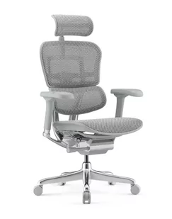Fotel biurowy, krzesło biurowe Fotel biurowy Ergohuman 2 Elite GS Grey - szary ergonomiczny fotel siatkowy - Fotele i krzesła biurowe - miniaturka - grafika 1