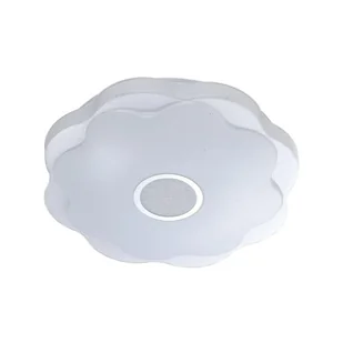 Normi D41 plafon 1xLED/24W/4000K biały/srebrny PLF-85740-M-CL - Lampy sufitowe - miniaturka - grafika 1