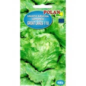 Nasiona i cebule - SAŁATA KRUCHA LODOWA GREAT LAKES 118 0,5G - miniaturka - grafika 1