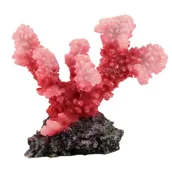 Dekoracje do akwarium - AQUA NATURA Dekoracja akwarystyczna koralowiec - różowy - miniaturka - grafika 1