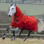 Derki dla konia - Bucas Derka padokowa z kołnierzem 300/150g 600D FREEDOM TURNOUT - crimson red - miniaturka - grafika 1