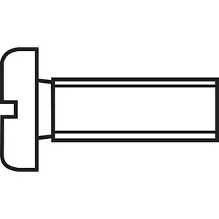 Toolcraft Wkręt z łbem walcowym M2 5x6 mm DIN 84 ISO 1207 100 szt - Wkręty - miniaturka - grafika 1