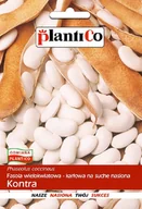 Nasiona i cebule - Plantico Fasola na suche nasiona Kontra - miniaturka - grafika 1