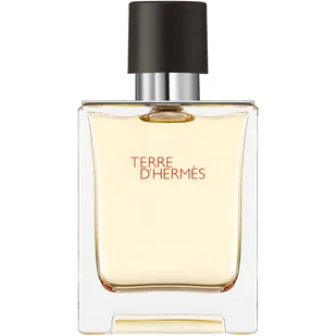 Herms Terre d' woda toaletowa 50 ml - Wody i perfumy męskie - miniaturka - grafika 1