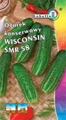 Nasiona i cebule - Ogórek konserwowy Wisconsin Smr 58 2g / L / - miniaturka - grafika 1