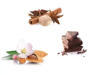 Bazzara Kawa ziarnista GUSTOITALIANO 1kg 5060257141944 - Kawa - miniaturka - grafika 4