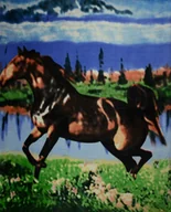 Koce - Koc Ze Zwierzętami Polarowy 160X200 Koń 12743 - miniaturka - grafika 1