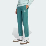 Odzież sportowa dziecięca - Spodnie adidas Boys Slogan Fleece Kids - miniaturka - grafika 1