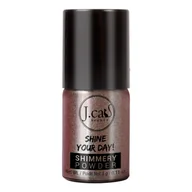 Cienie do powiek - J.Cat Beauty Shine Your Day Shimmery Powder Sypki Pigment 154 Antique Rebel - miniaturka - grafika 1