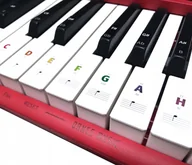 Akcesoria do instrumentów klawiszowych - Naklejki na keyboard na klawisze NKHKL kolorowe/AKORD - miniaturka - grafika 1