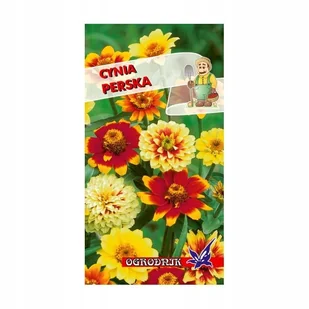 Cynia perska mix 0,5 g / O / - Nasiona i cebule - miniaturka - grafika 1