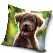 Pościel dla dzieci - Poszewka 40x40 z psem Piesek Velvet - miniaturka - grafika 1