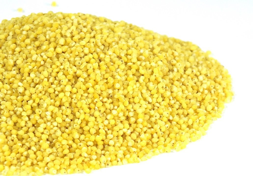 Kasza JAGLANA POLSKA 5kg Duża Paka od Skworcu