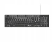 Klawiatury - Natec KLAWIATURA HERRING GLOW US BIAŁE PODŚWIETLENIE NKL-2342 - miniaturka - grafika 1