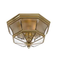Lampy sufitowe - Plafon Newbury - kolor mosiądz, transparentny, złoty - QZ/NEWBURY/F - miniaturka - grafika 1