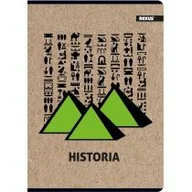 Zeszyty szkolne - Beniamin Zeszyt A5 kratka Historia kratka 58 kartek 10 szt. - miniaturka - grafika 1