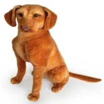 Wyżeł węgierski 44cm Dubi - Maskotki i pluszaki - miniaturka - grafika 1