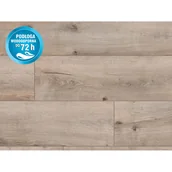 Panele podłogowe - Classen Panel podłogowy Dąb Trydent 8 mm AC 5 - miniaturka - grafika 1