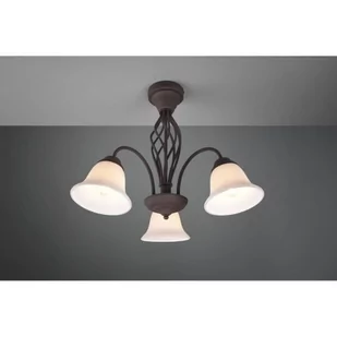 Trio RUSTICA 601000324 601000324 - Lampy ścienne - miniaturka - grafika 1