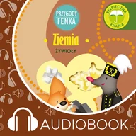 Audiobooki dla dzieci i młodzieży - Przygody Fenka. Ziemia Magdalena Gruca - miniaturka - grafika 1